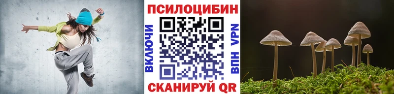 Псилоцибиновые грибы Psilocybine cubensis Сорск