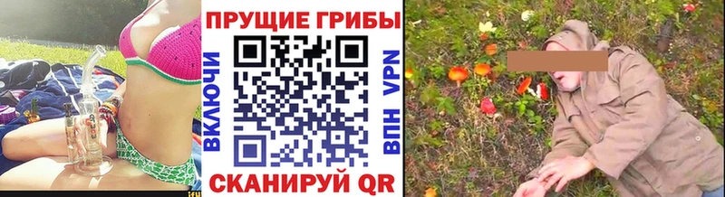 купить закладку  Сорск  Галлюциногенные грибы мицелий 