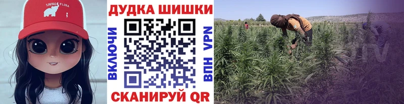 где купить наркоту Сорск Бошки Шишки Bruce Banner